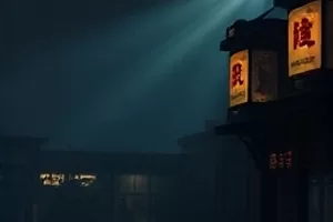 《盐碱地》封面：干裂纹路的地表与低矮灌木